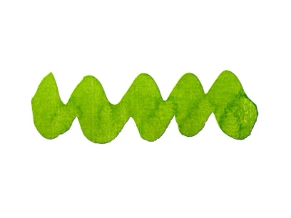 Diamine 50ml Forever Ink - Permanent Pigment Fountain Pen Ink - Hyper Green